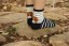 Dámské ponožky s pejsky 7