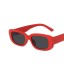 Dámske slnečné okuliare E1241 10