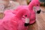 Damskie kapcie pluszowe - Flamingo 5