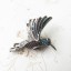 Dámsky prívesok kolibrík D626 2