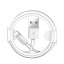 Datový kabel pro Apple Lightning / USB K489 1
