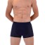 Dave Herren-Boxershorts 4