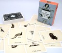 De litterære hekse tarotkort 70 stk. 3