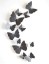 Decor de perete 3D Butterfly - 12 buc 6