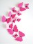 Decor de perete 3D Butterfly - 12 buc 8