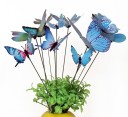 Decoração de espetar borboleta 12 pcs 5