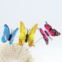 Decoração de espetar borboleta 24 pcs 2
