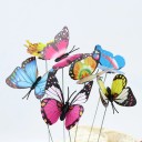 Decoração de espetar borboleta 24 pcs 3