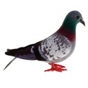 Decoração pomba C924 5