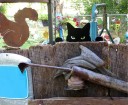 Decoración de jardín gato 2