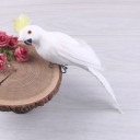 Decoración de loro C918 1