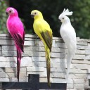Decoración de loros 1