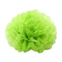Decoratie pompons 5 stuks 21