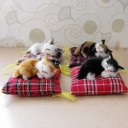 Decoratief kussen met een kat 2