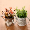 Decoratieve bloempot in de vorm van een gieter 1