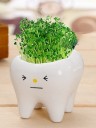 Decoratieve bloempot in de vorm van een tand 1
