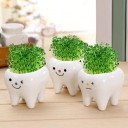 Decoratieve bloempot in de vorm van een tand 2