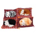 Decoratieve slapende kat in mandje Verschillende kleuren Realistisch figuur Schattige decoratie voor het dashboard van de auto Thuisdecoratie 3