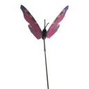 Décoration à piquer papillon 24 pcs 14