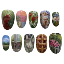 Décoration d'ongles créative forme amande 25,6–18,3 mm 12 tailles 24 faux ongles brillants motifs sucrés colle et ruban 1