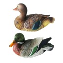 Décoration de jardin canard 3