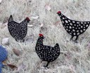 Décoration de jardin en acrylique en forme de poule 2
