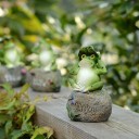 Décoration de jardin grenouille 3