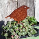 Décoration de jardin oiseau 4