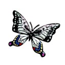 Décoration murale papillon H978 11