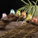 Décoration oiseau 12 pcs 1
