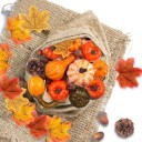 Décorations mini d'automne 50 pcs 2