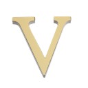 Decorative Acrylic Letter 22