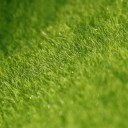 Decorative Artificial Grass 5