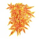 Decorative Artificial Plant for Terrarium C888 4