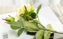 Decorative Artificial Roses 12
