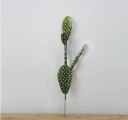 Decorative Artificial Succulent 2