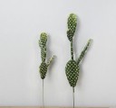 Decorative Artificial Succulent 4