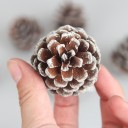 Decorative Cones 6 pcs 2