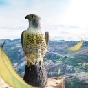 Decorative Falcon Figurine 2