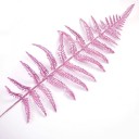 Decorative Fern Leaf 4