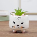 Decorative Flower Pot 3