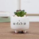 Decorative Flower Pot 4