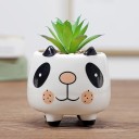 Decorative Flower Pot 5