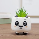 Decorative Flower Pot 6