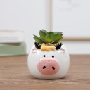 Decorative Flower Pot 14