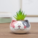 Decorative Flower Pot 16