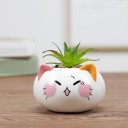 Decorative Flower Pot 17