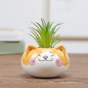 Decorative Flower Pot 18