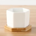 Decorative Flower Pot H1029 1