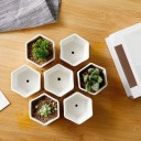 Decorative Flower Pot H1029 4